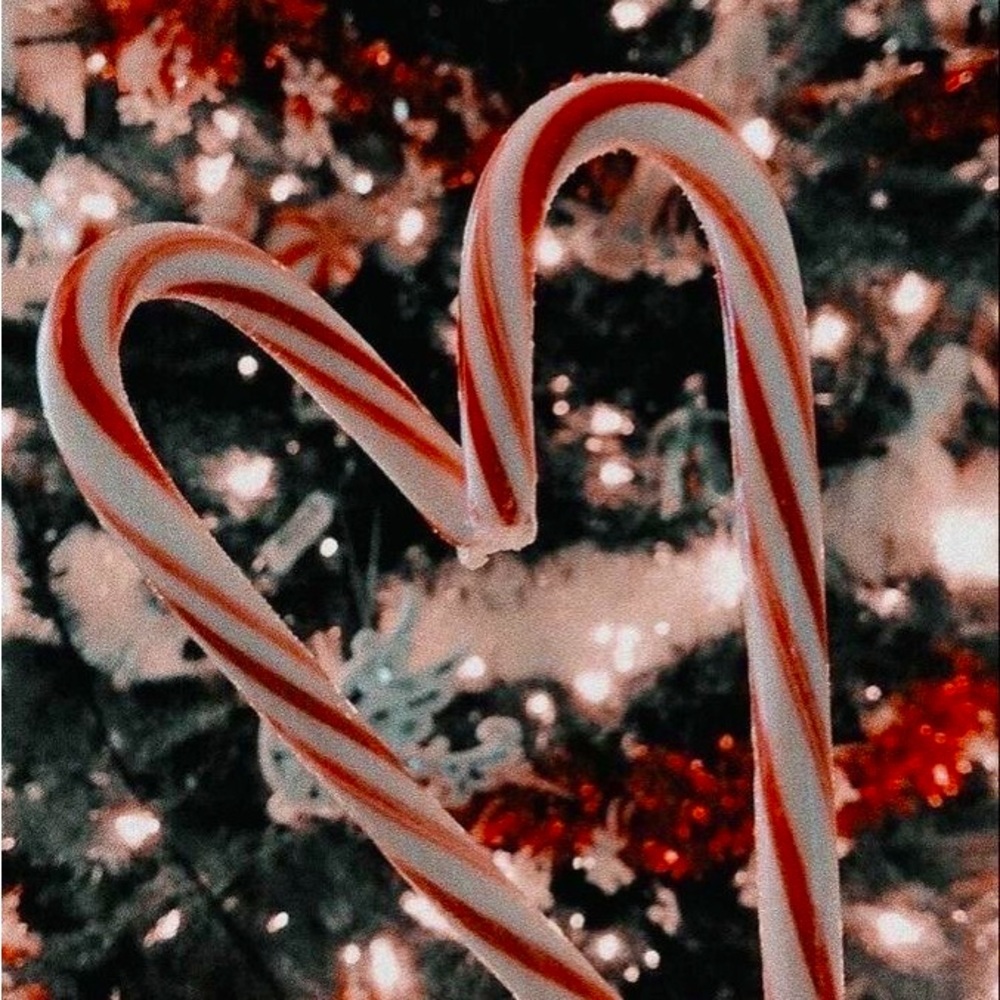 Christmas cheer